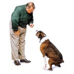 hombre-hablando-a-un-perro