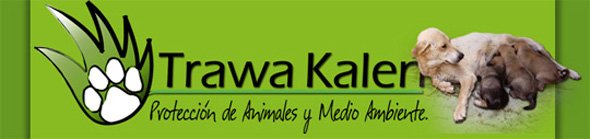Sociedad Protectora de Animales y Medio Ambiente Trawa Kelen Sociedad Protectora de Animales y Medio Ambiente Trawa Kelen