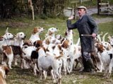 El Foxhound - 