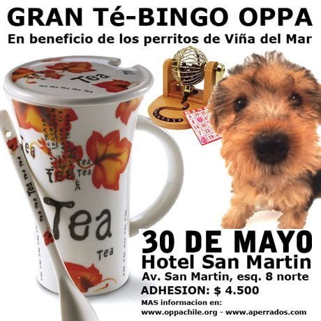 te-bingo-oppa-30-mayo