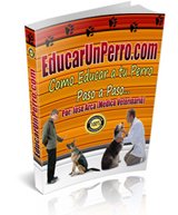 Educar un Perro